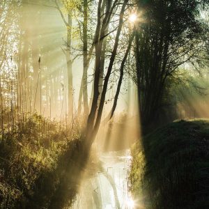 Zonnestralen in ochtendzon. landgoed de Baest